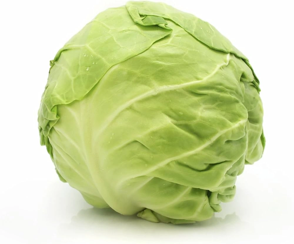 Cabbage Revival